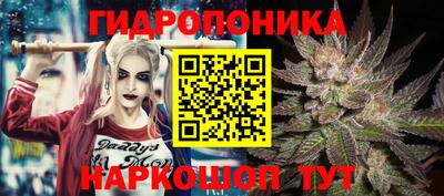 дурь Славгород