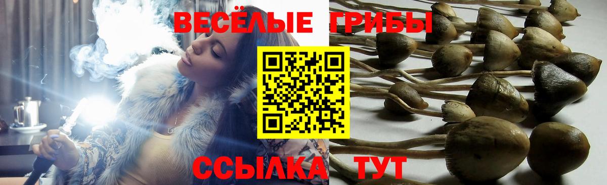 Псилоцибиновые грибы Magic Shrooms Реж