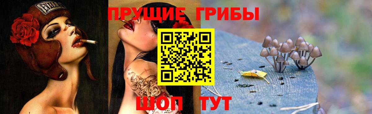 Реж  Псилоцибиновые грибы Magic Shrooms  Вход с VPN 